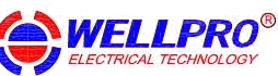 WellPro