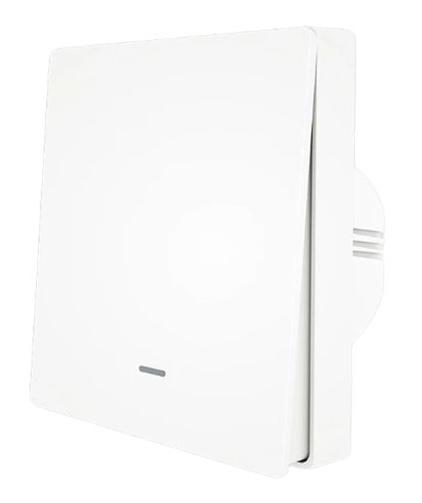 Moes Smart Switch