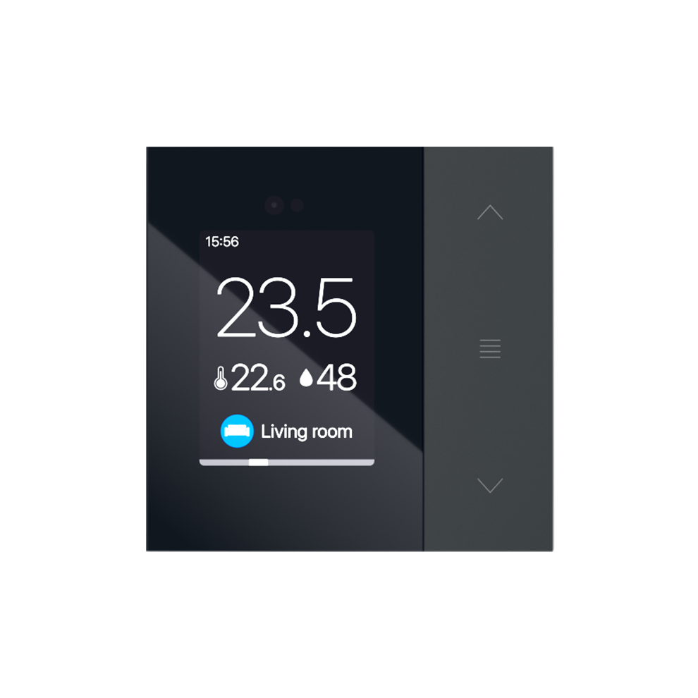 Controller with display