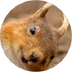 Katka K