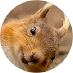 Katka K
