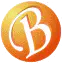 Berczel Hungary Kft. logo