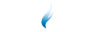 Longobardi Srl logo