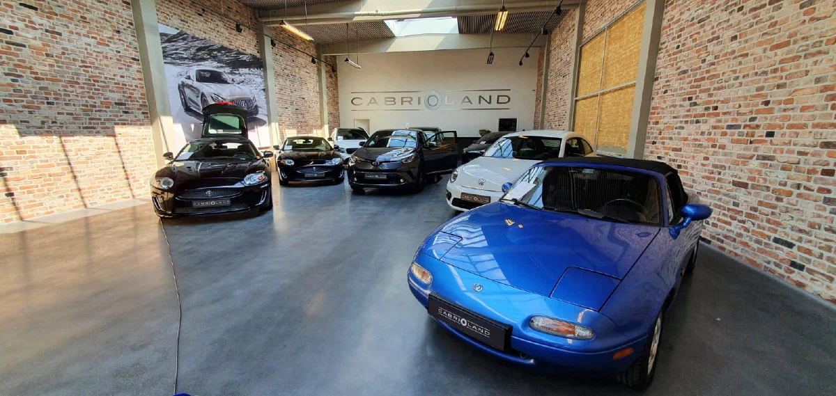 Gallery image