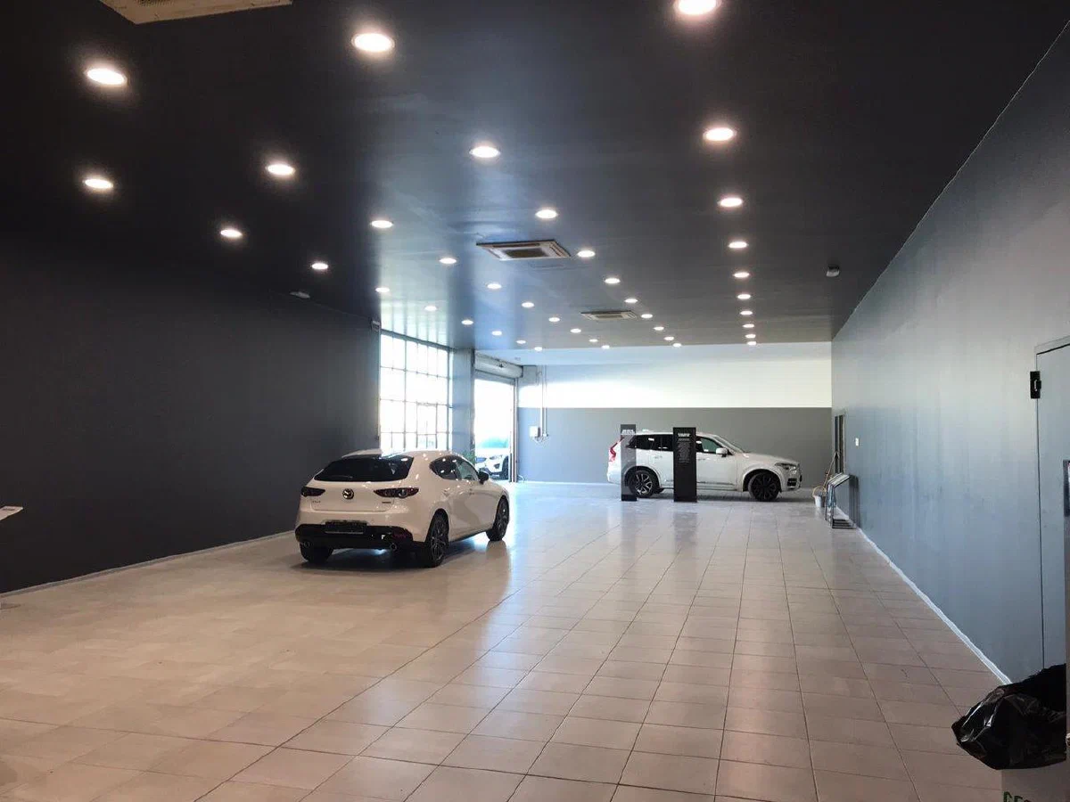Gallery image