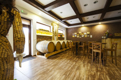 Weingut und Hotel in Velke Bilovice, Tschechien